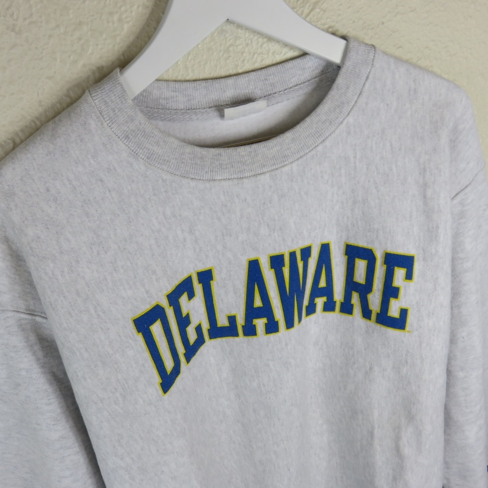 Champion Reverse Weave Delaware Crewneck - Picture 2 of 6